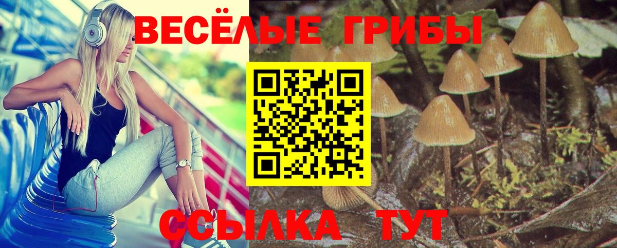 купить наркотик  Вход с VPN  Хасавюрт  Галлюциногенные грибы ЛСД 
