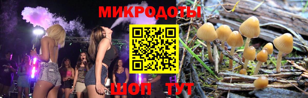 Псилоцибиновые грибы мицелий Хасавюрт